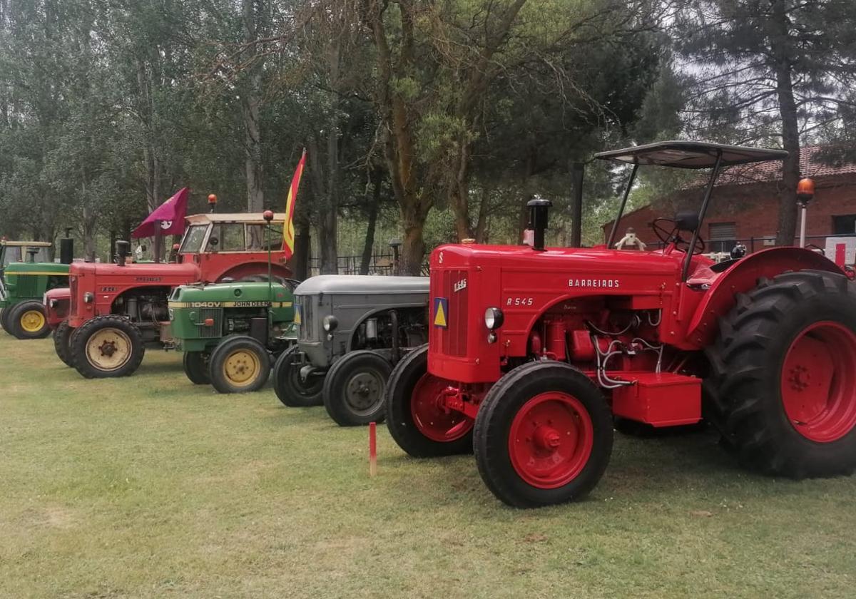 Parte de los tractores clásicos que se dieron cita en la quinta concentración.