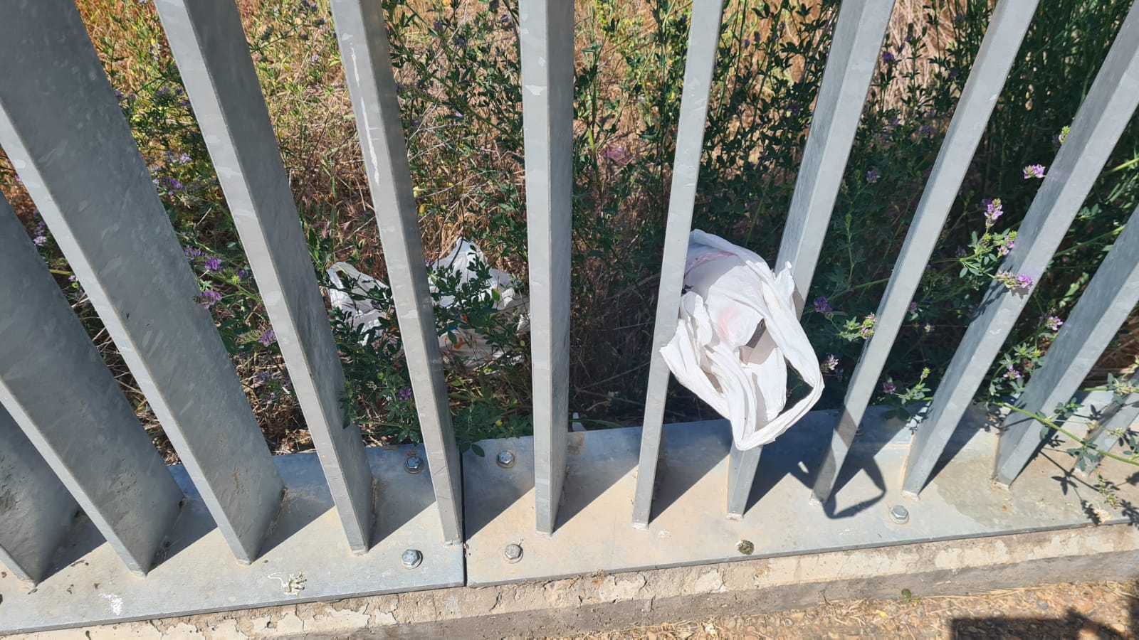 Suciedad en la capital leonesa días después del Monoloco
