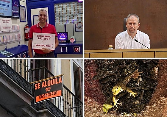 Las imágenes del día.