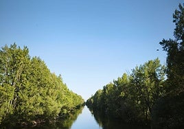 El rio Bernesga a su paso por León.