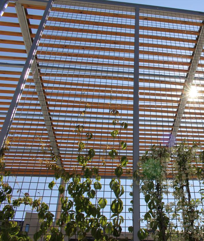 Imagen secundaria 2 - Detalles de la zona destinada a paradas de autobuses y de la pérgola bioclimática.