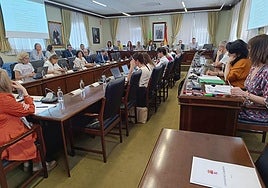 Consejo de gobierno de la ULE.