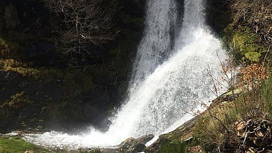 Encinedo busca posicionarse como referente del turismo sostenible en la provincia