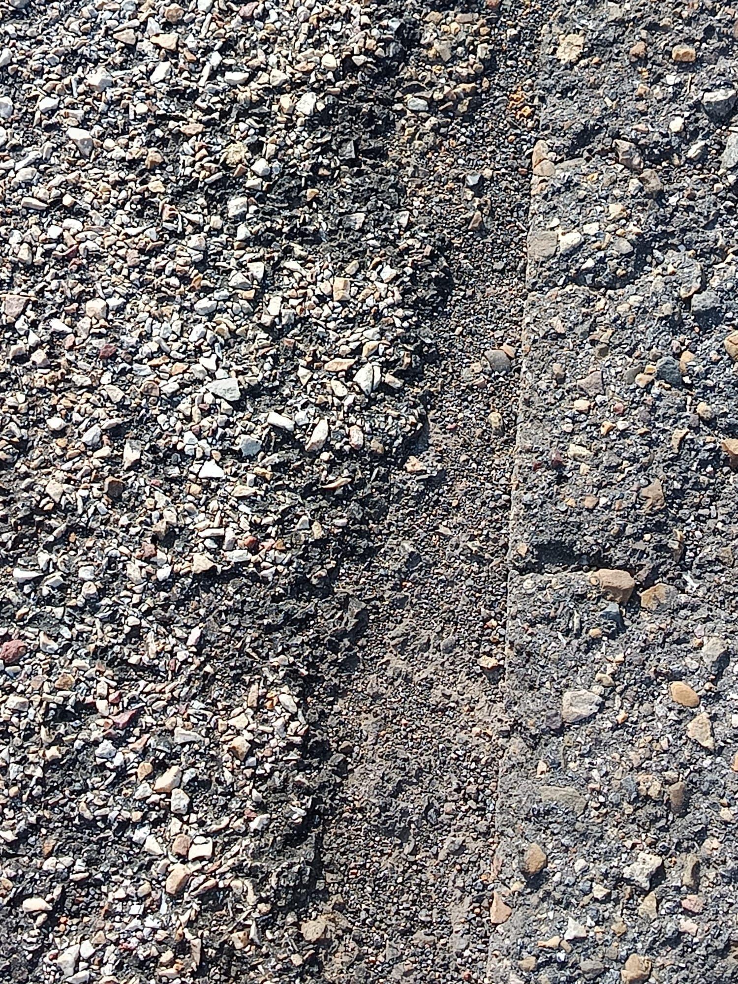 Asfalto agrietado y firme en mal estado, este es el estado de la carretera de San Miguel del Camino