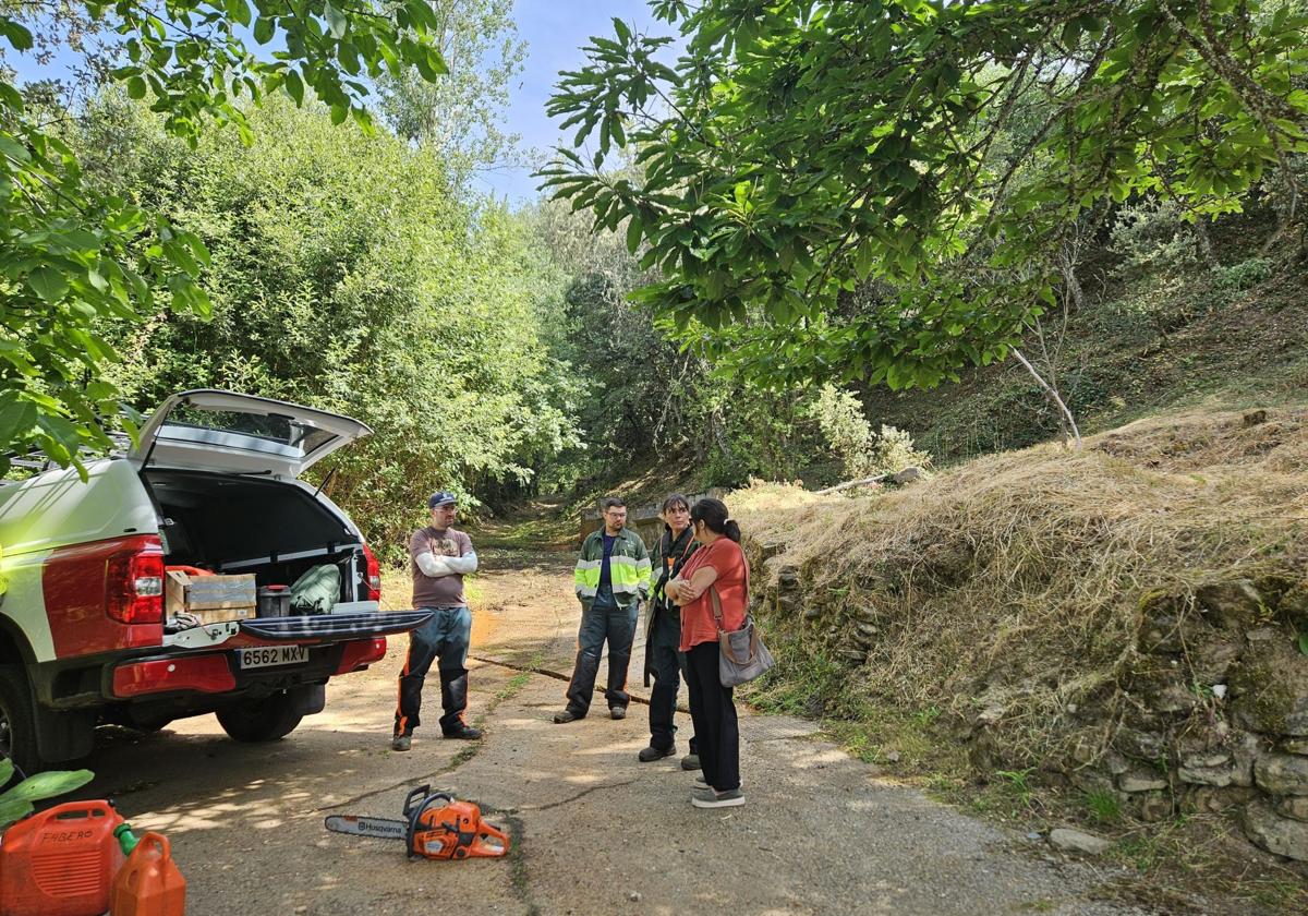 Labores de prevención de incendios en montes de la provincia.
