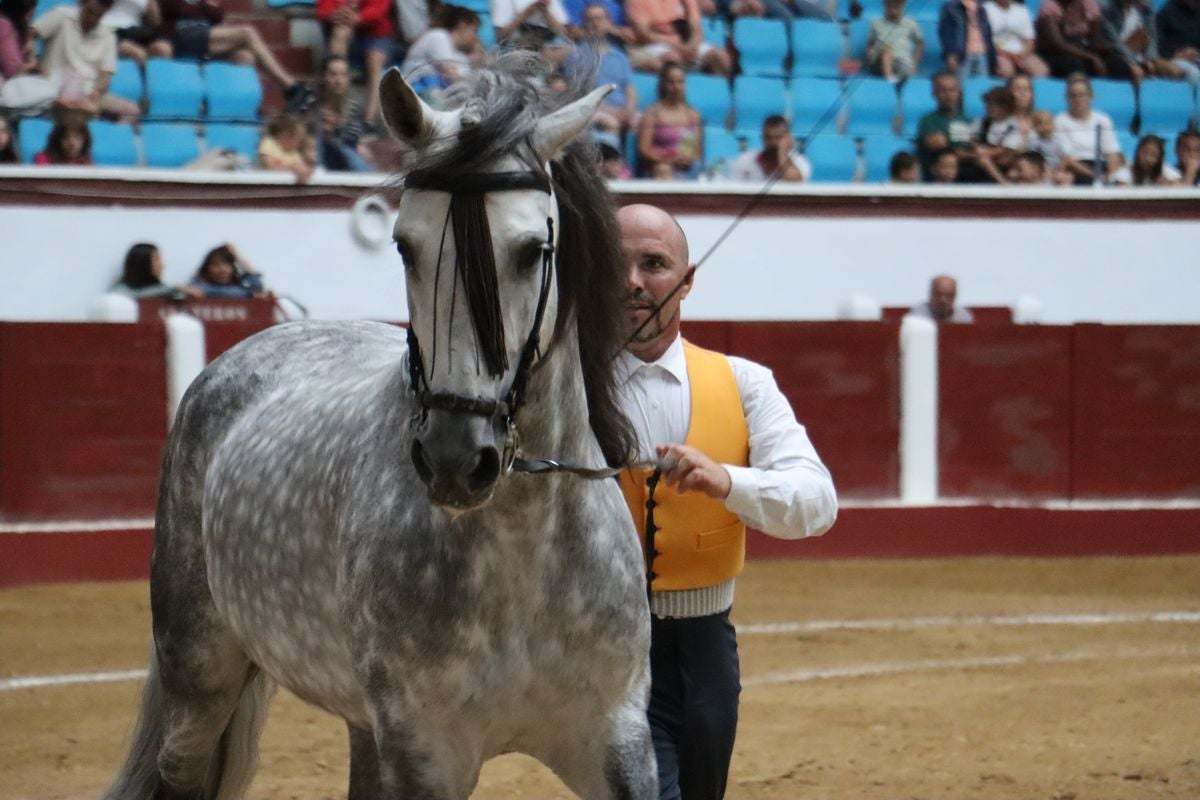 La Magia del Caballo, en imágenes