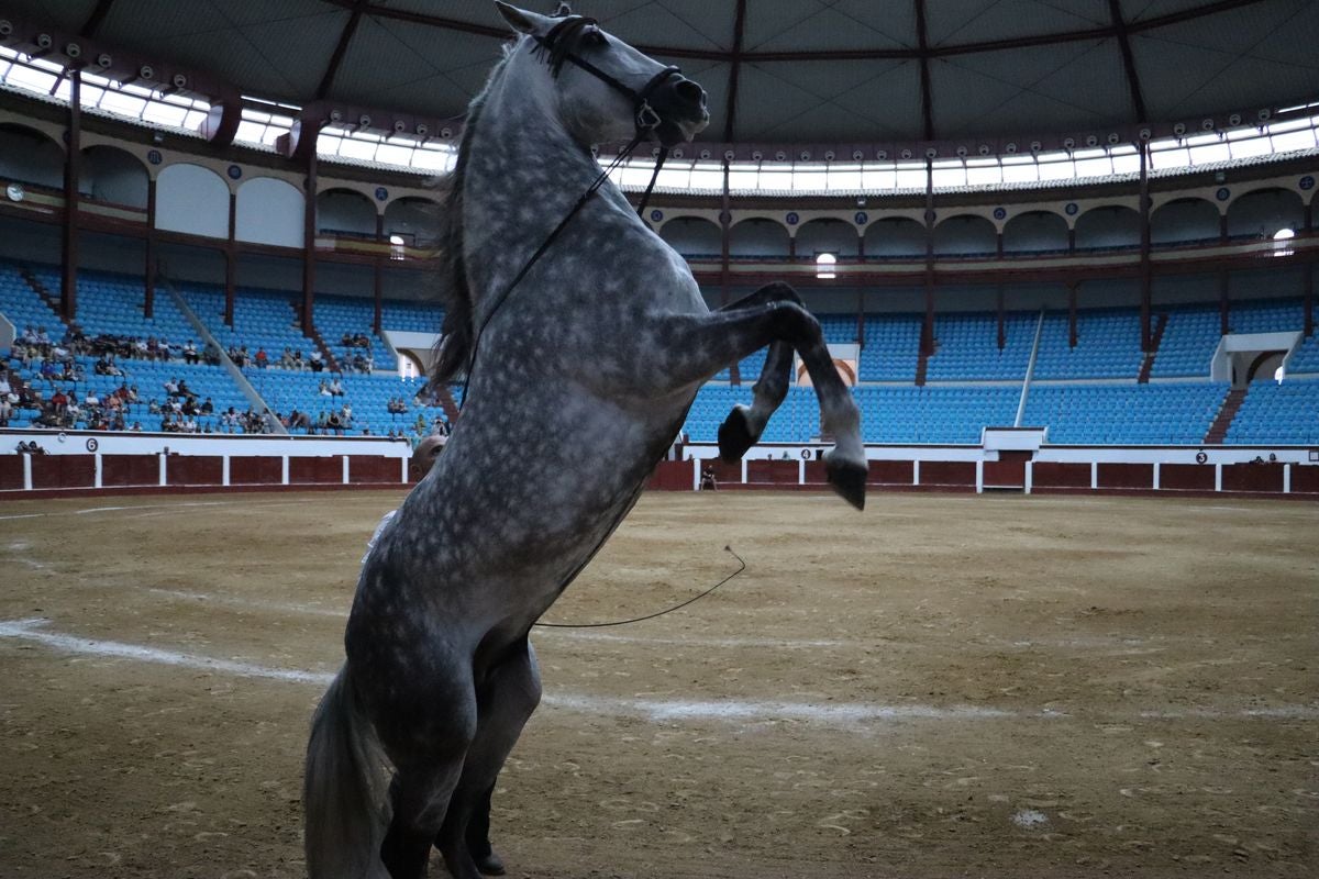 La Magia del Caballo, en imágenes