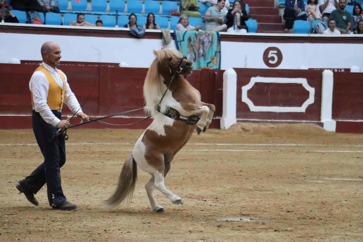 La Magia del Caballo, en imágenes