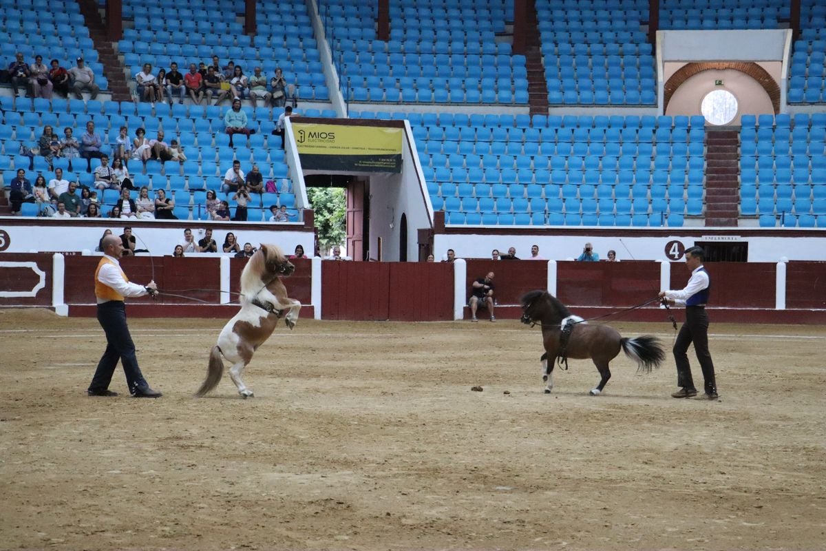 La Magia del Caballo, en imágenes
