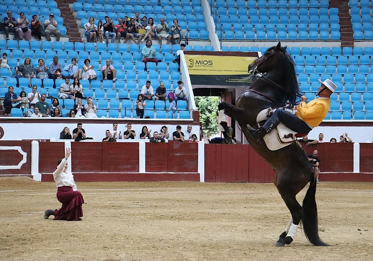 El puro arte de domar un caballo