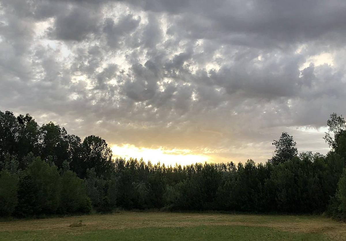 Imagen de una pradera en Lorenzana.