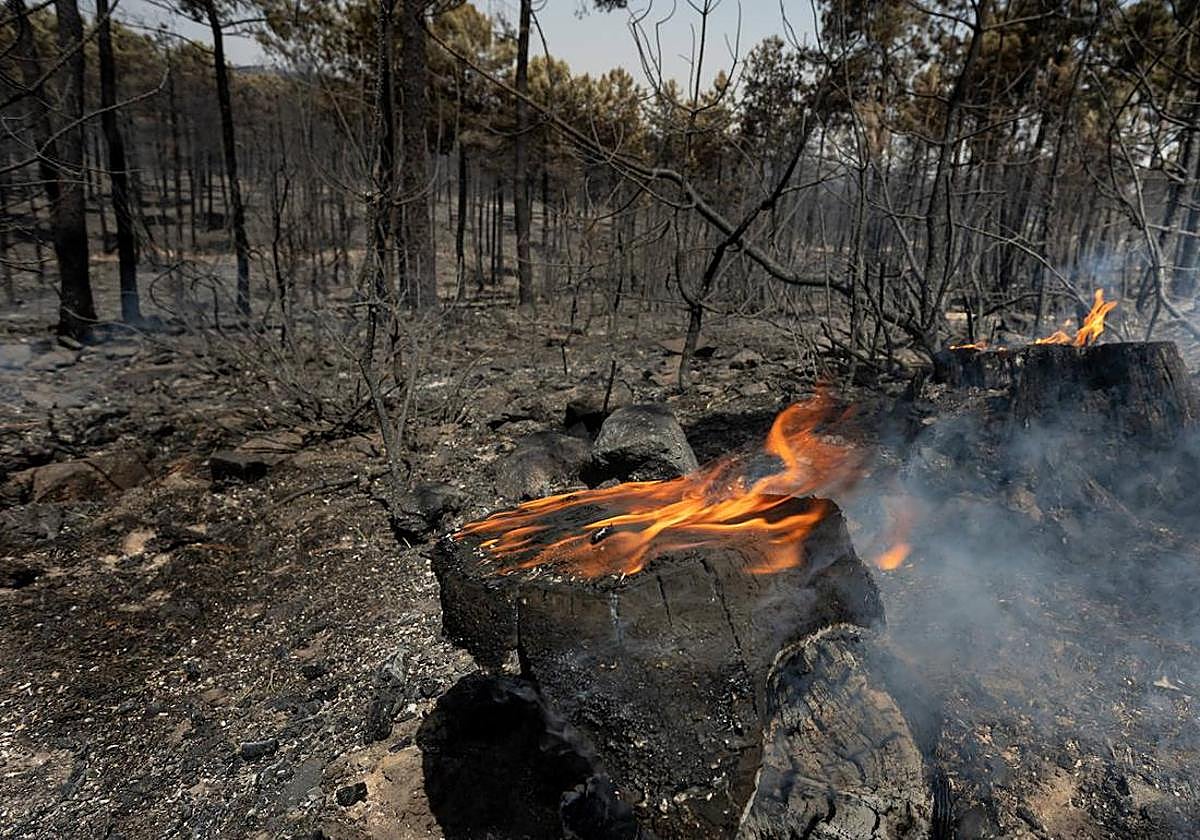 Imagen de archivo de un incendio.