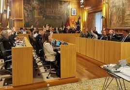 Pleno de la Diputación de León.