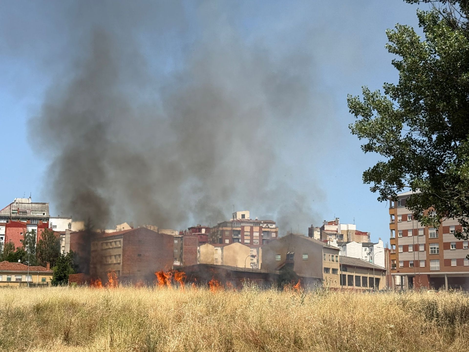 Incendio de un solar en La Palomera