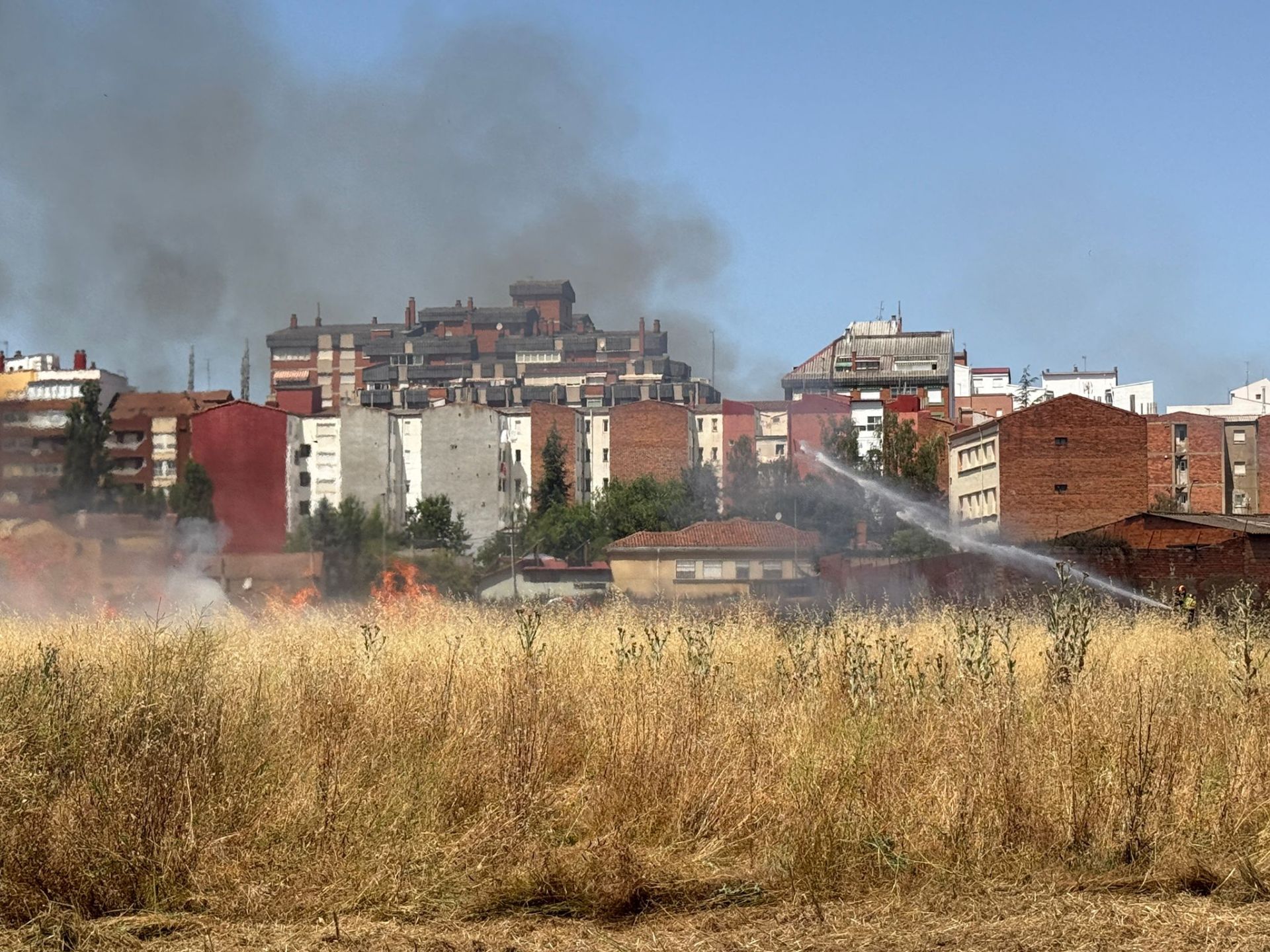Incendio de un solar en La Palomera