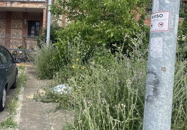 Armunia recurre a la Junta ante las «plagas» o el «vertedero incontrolado» de la pedanía