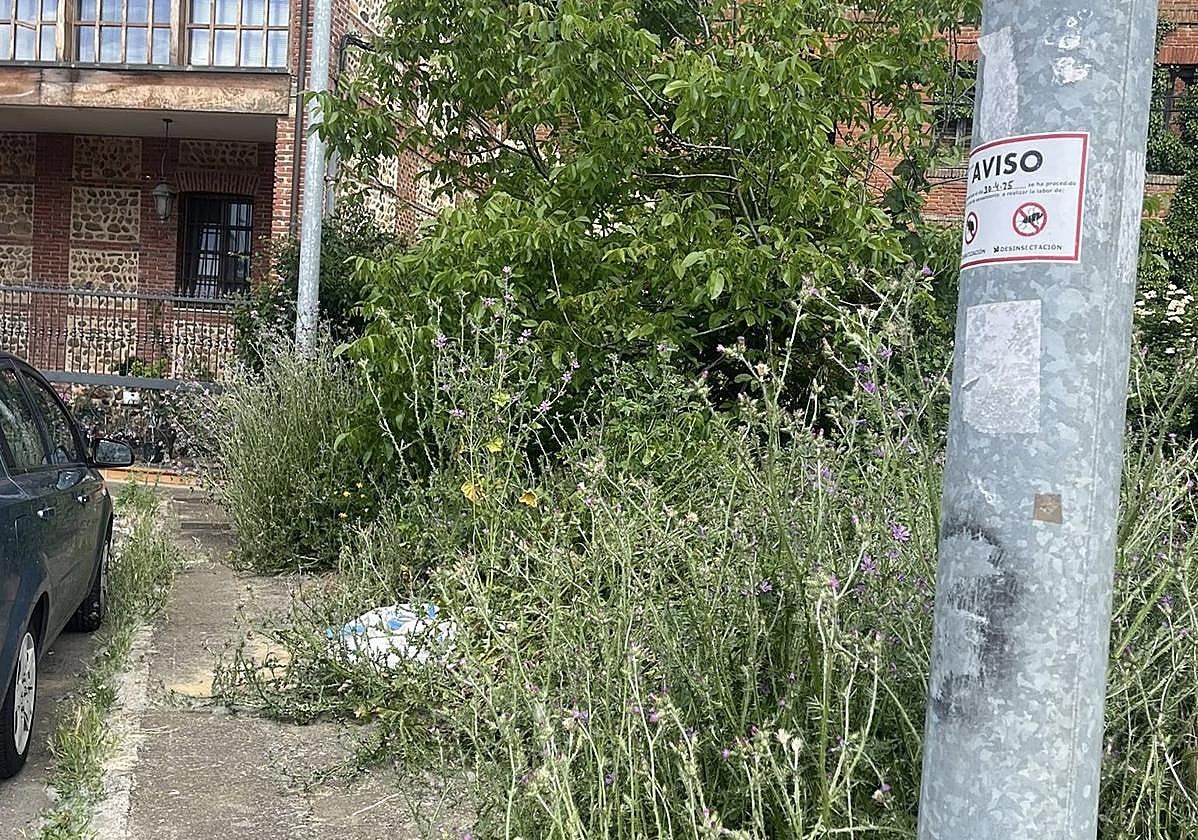 Una de las calles de la pedanía de Armunia.