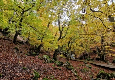 La Reserva de la Biosfera Alto Bernesga mostrará su patrimonio cultural y natural este verano