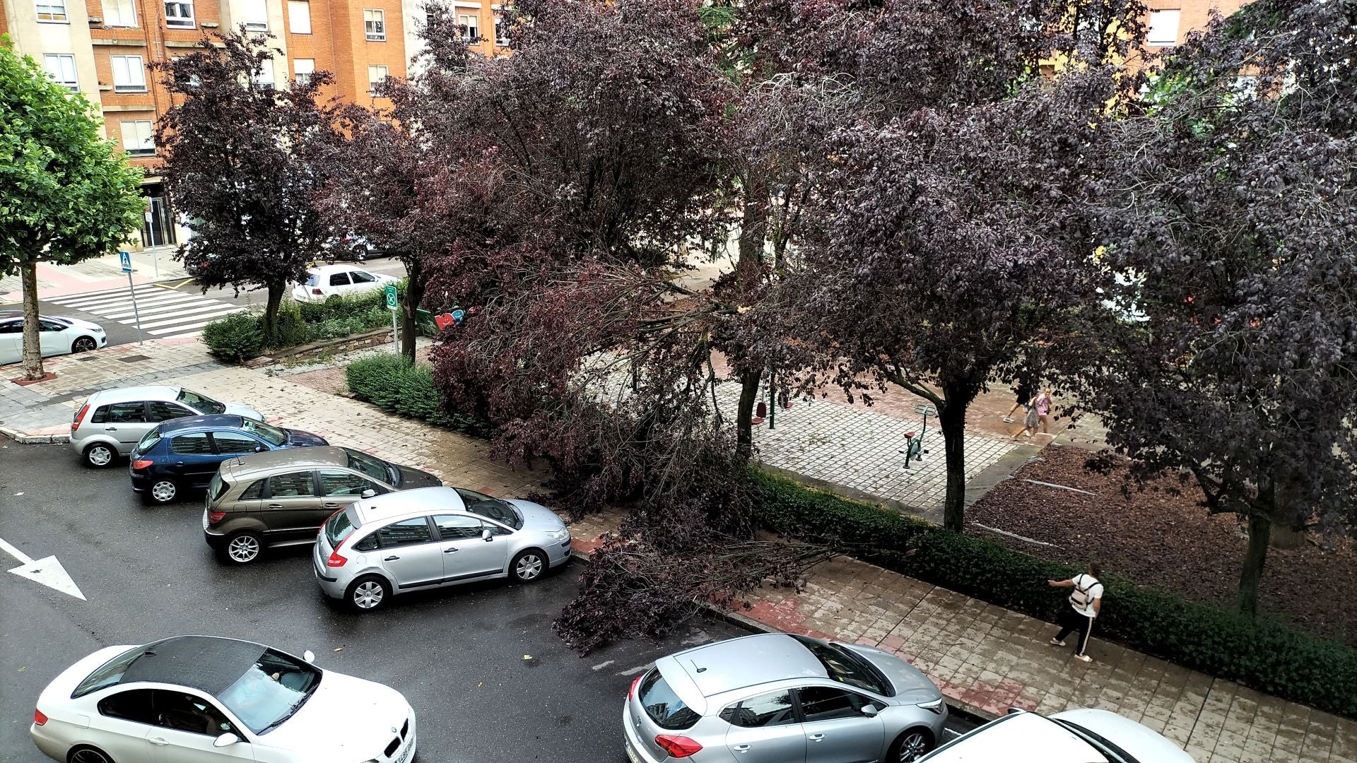 Las imágenes de la espectacular tormenta de granizo que ha caído en León