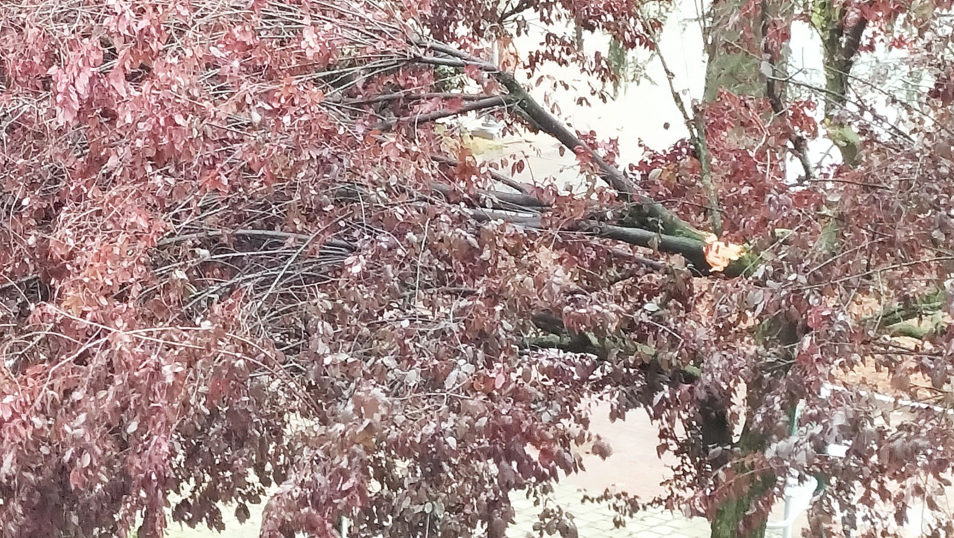 Las imágenes de la espectacular tormenta de granizo que ha caído en León