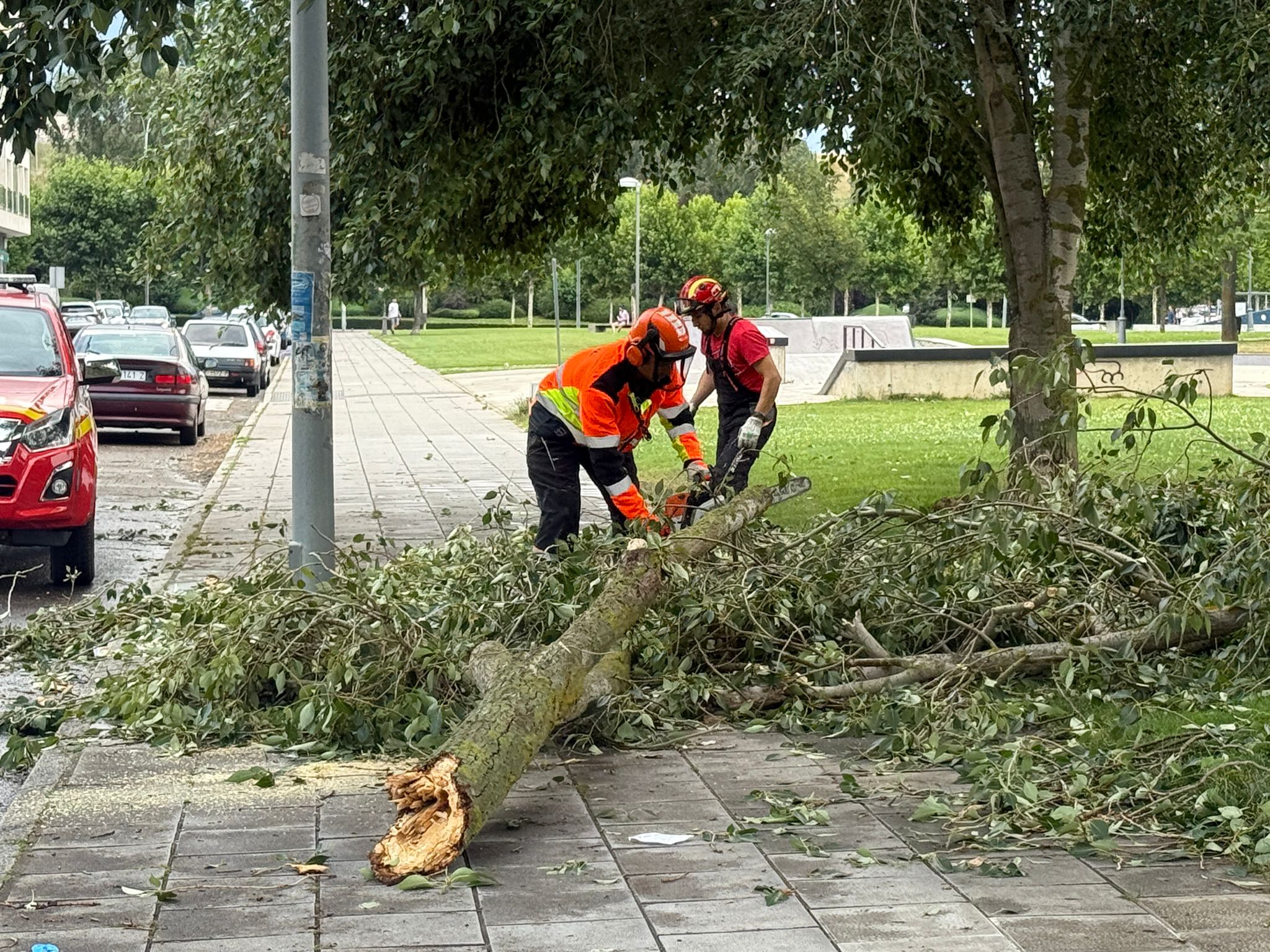 Imágenes de bomberos retirando árboles.