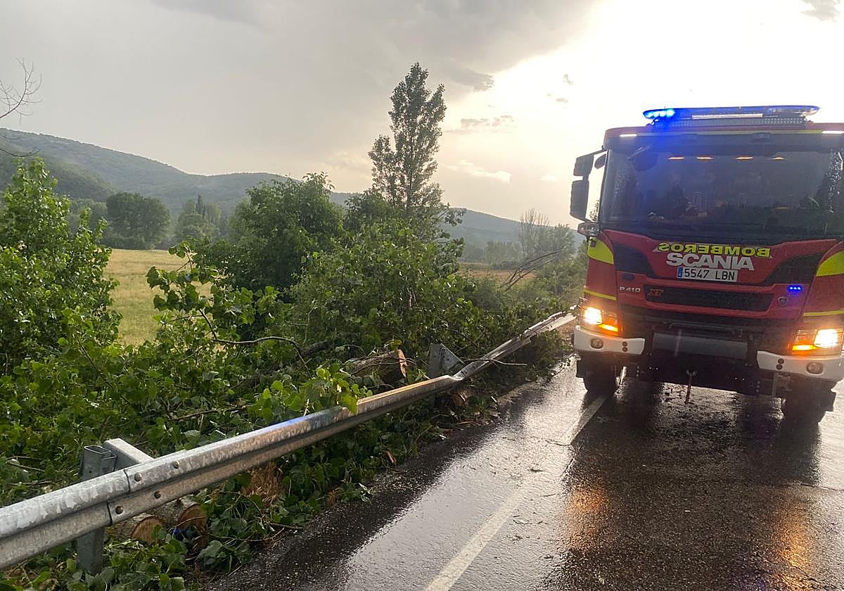 Bomberos de Cistierna retiran el árbol que cortaba la vía.