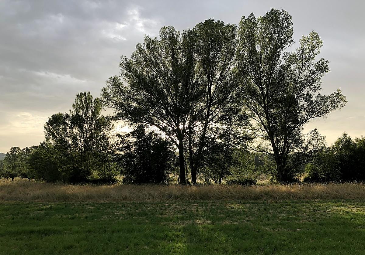 Una foto a las afueras de León ciudad.