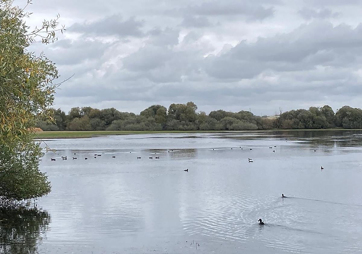 Imagen principal - En la imagen superior, la Laguna Fuente Blanca. En las otras dos imágenes, actividades de observación de aves y tareas de limpieza de una hacendera.