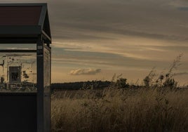 Primer premio del certamen de fotografía.