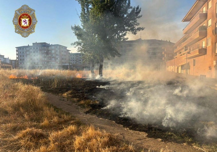 Arde un descampado entre San Mamés y La Palomera