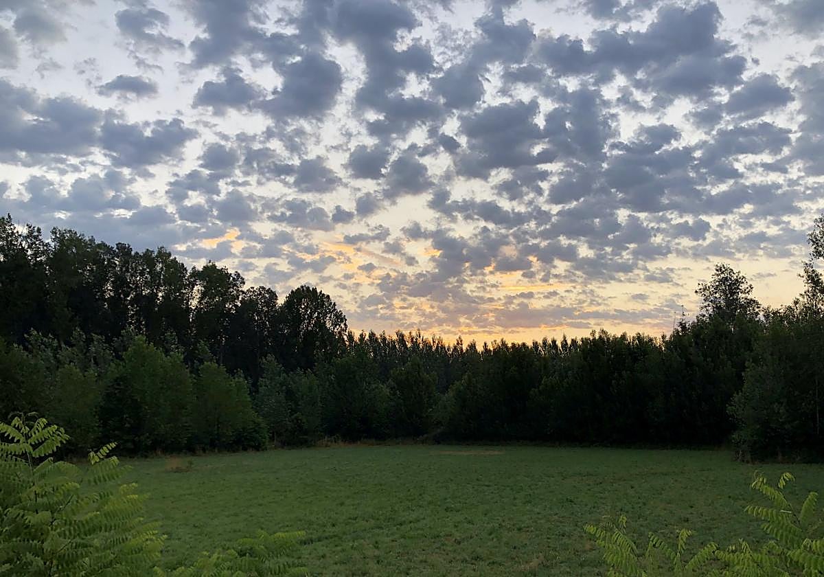 Un amanecer de julio en la provincia de León.