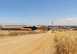 Panorámica de Algadefe con sus numerosas granjas de ganado.