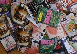 Portadas de la Guía Go! de León.