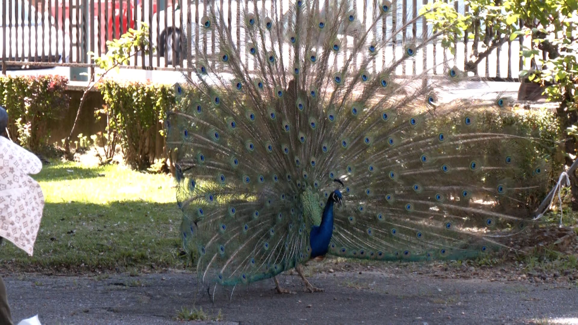 Así es el barrio de El Crucero