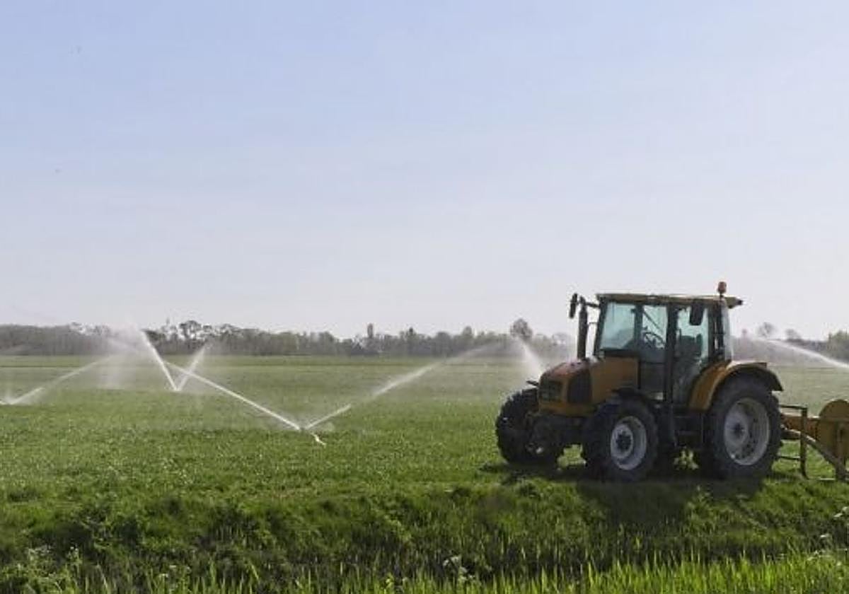 Imagen de tierras de regadío.