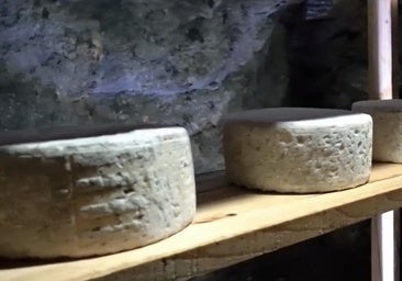 El Bierzo reabre una mina de hierro como centro de maduración de queso