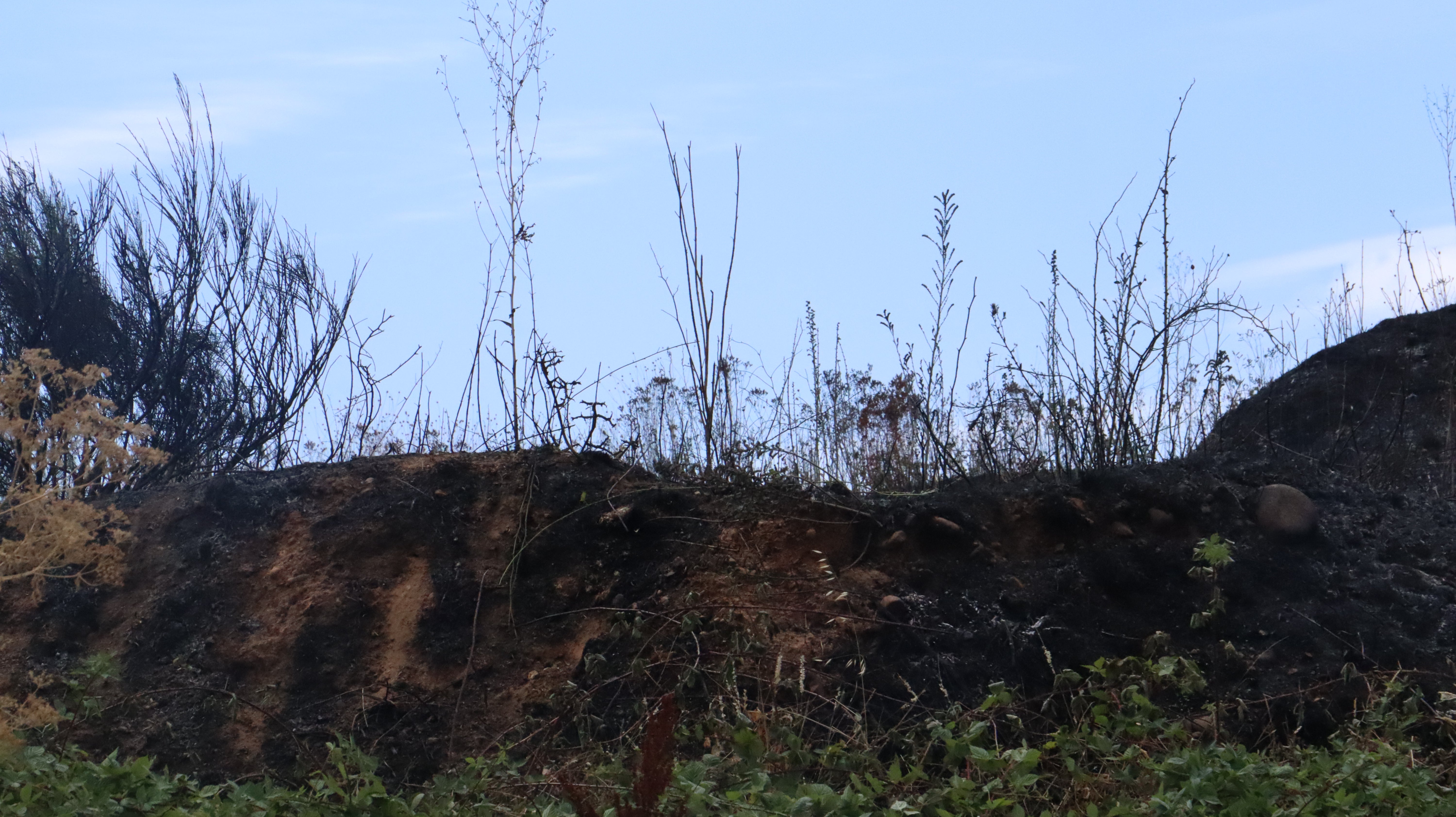 Así ha sido el incendio cercano al Hospital de León