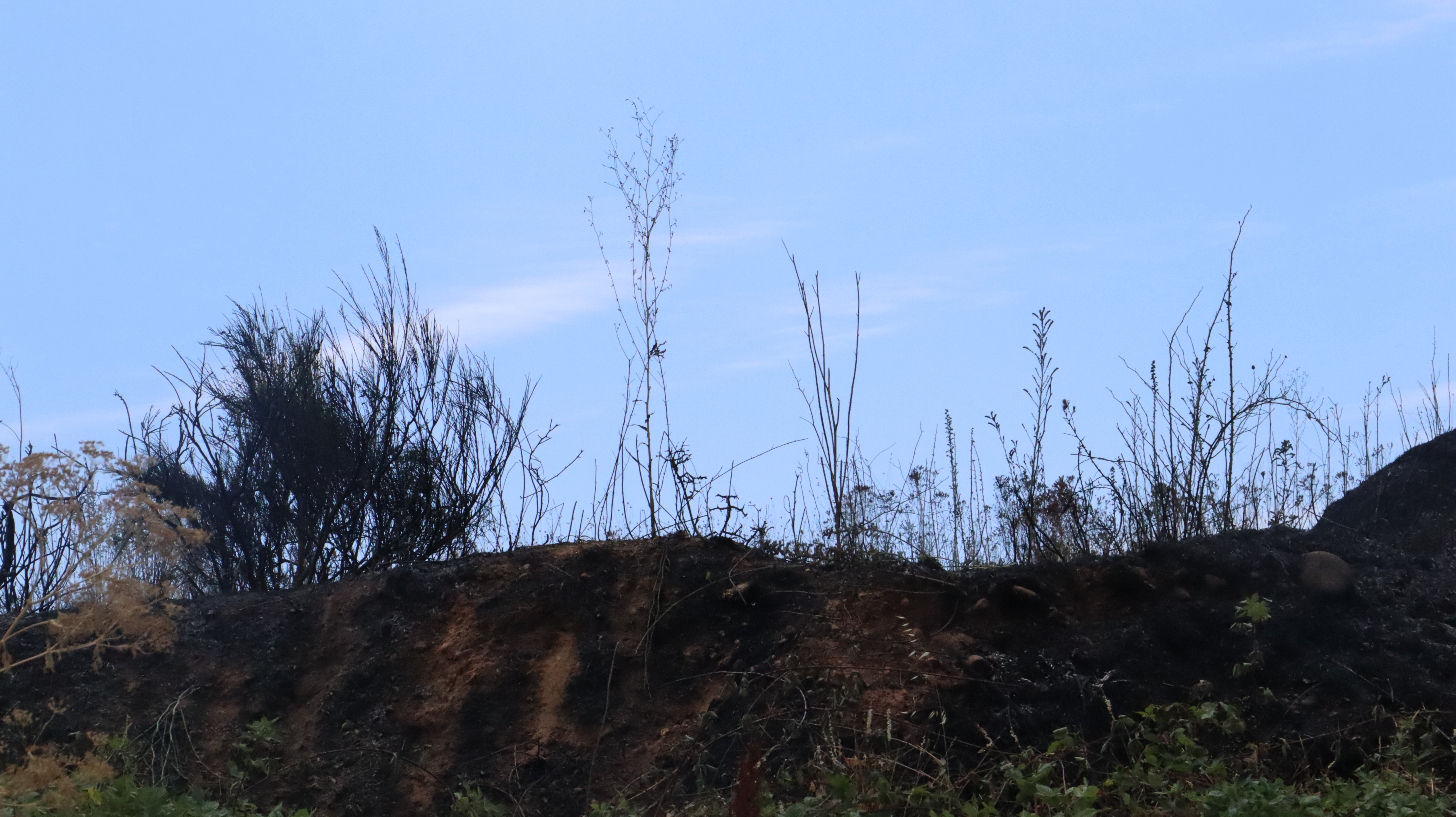 Así ha sido el incendio cercano al Hospital de León