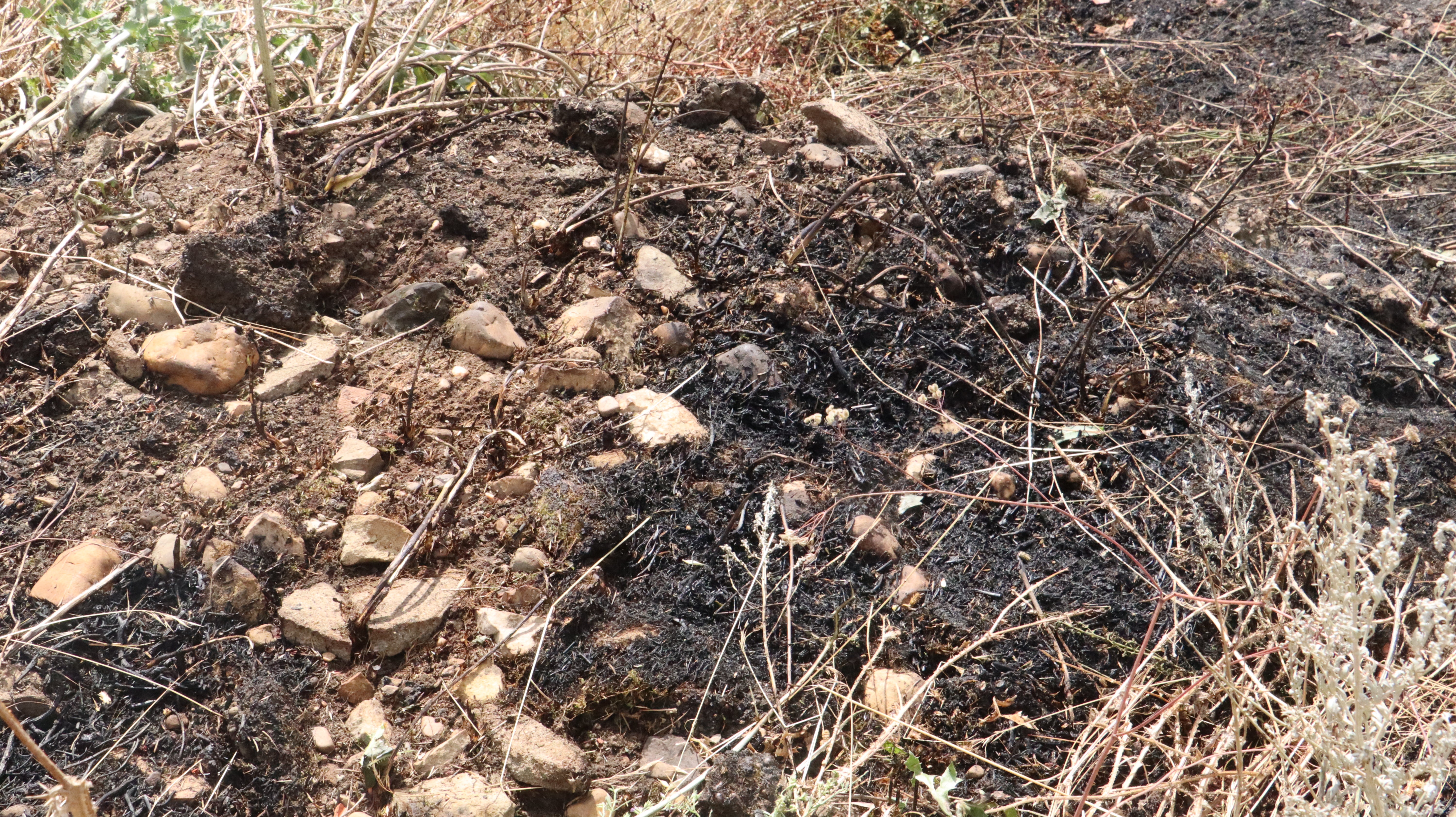 Así ha sido el incendio cercano al Hospital de León