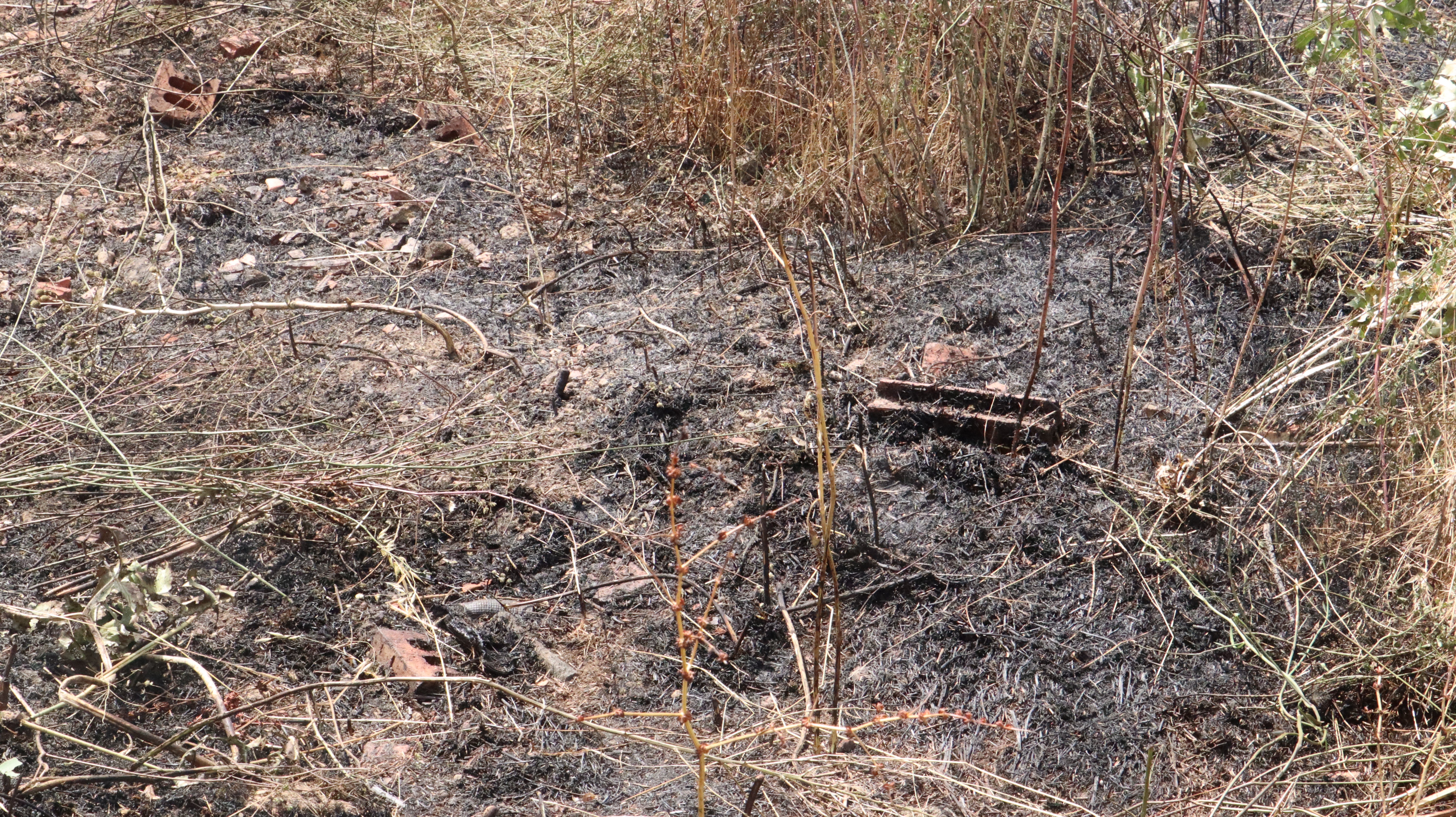 Así ha sido el incendio cercano al Hospital de León