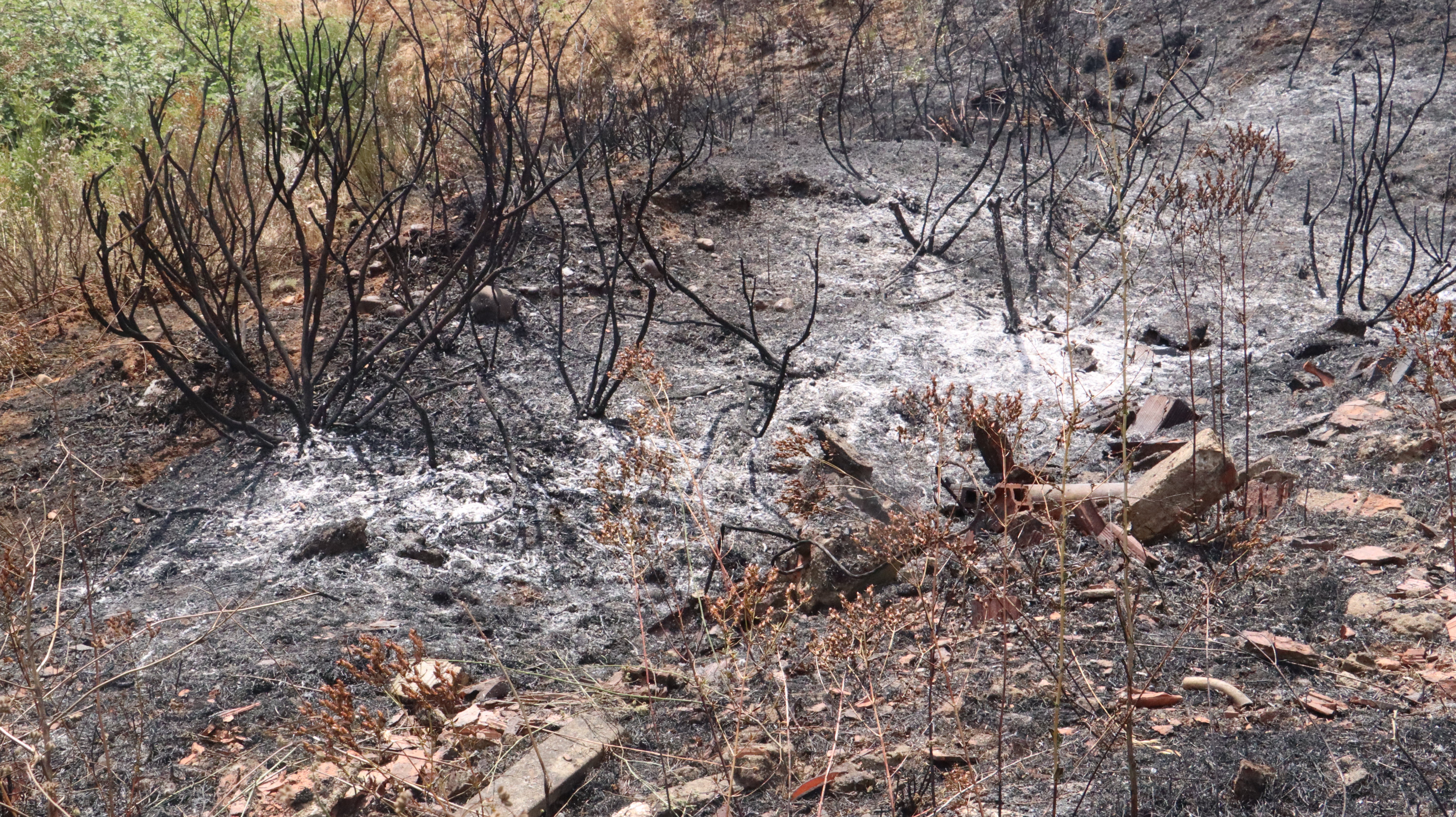 Así ha sido el incendio cercano al Hospital de León