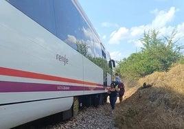 Trenes de Feve averiados.