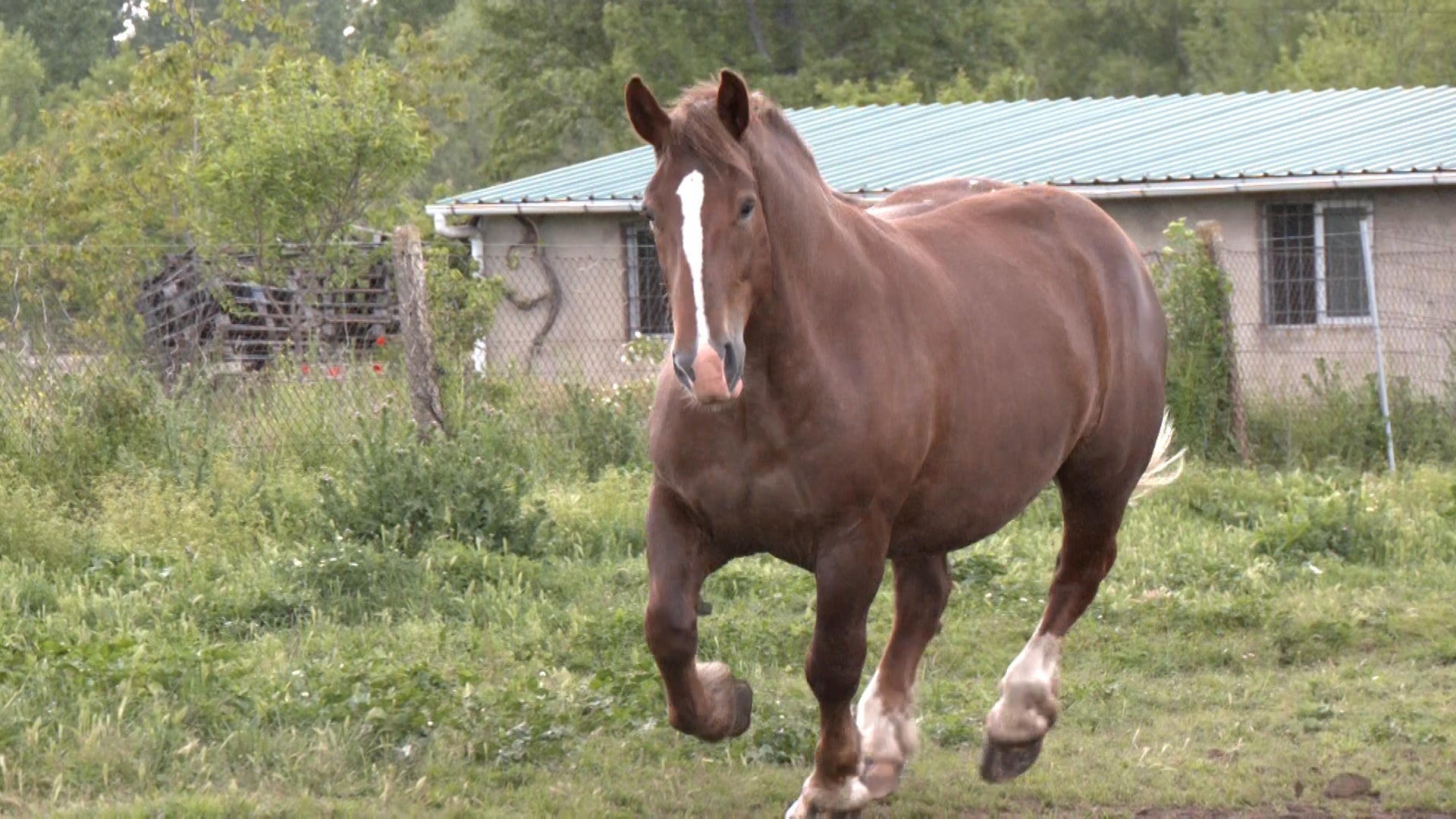 Así es el barrio de Los Juncales en León