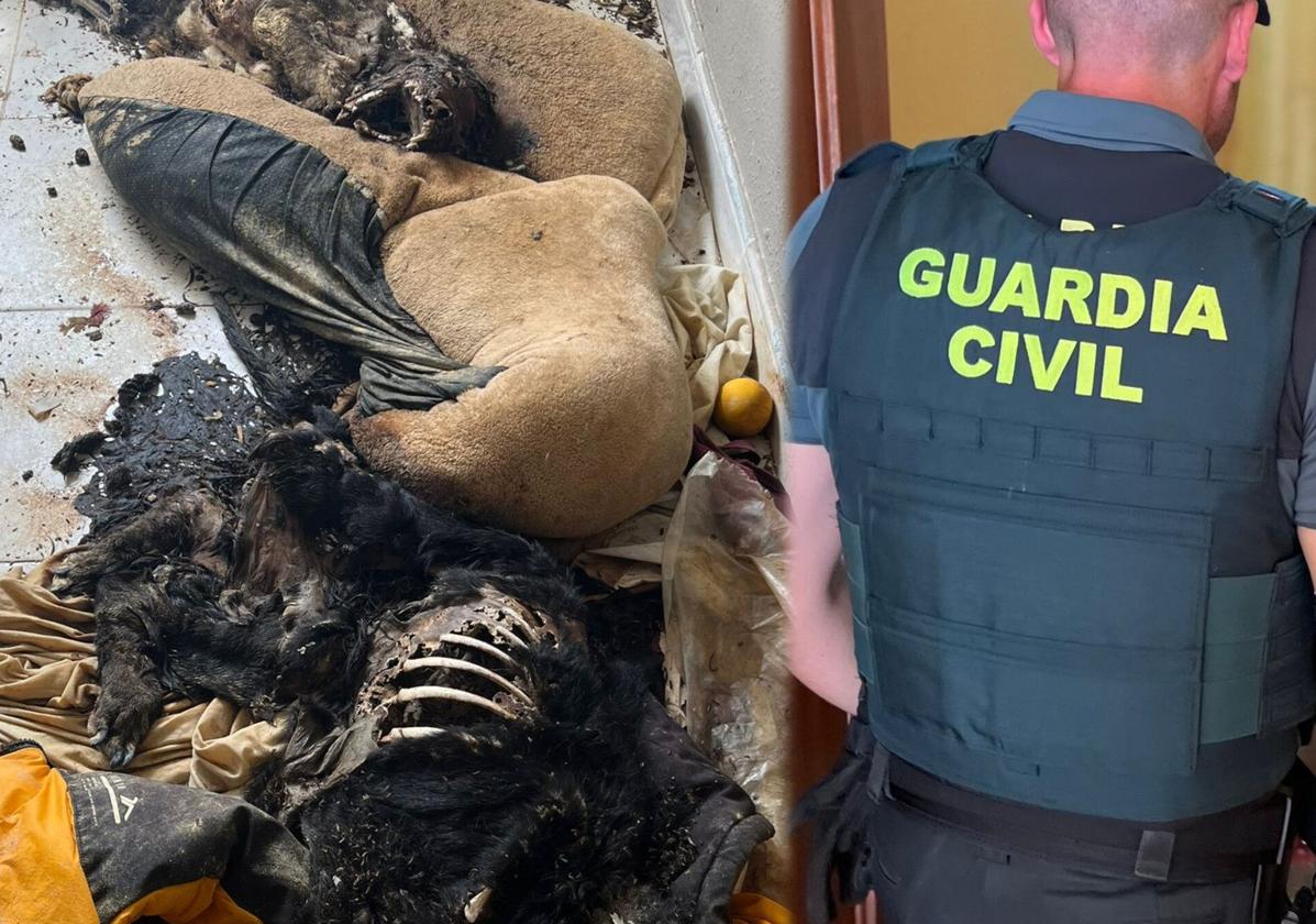 Estado en el que se encontraban los animales.