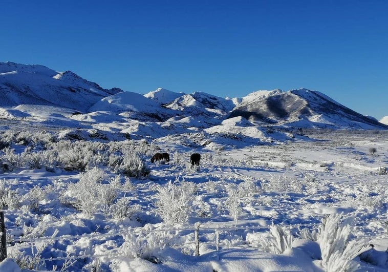 Un pueblo de León alcanza la temperatura más baja de la provincia por cuarto día consecutivo