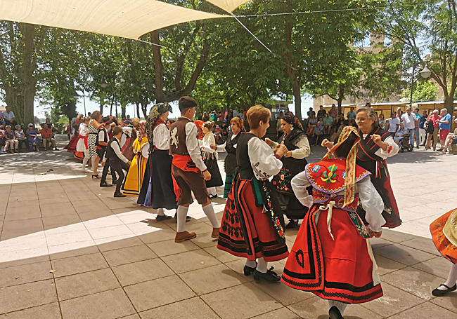 Una de las múltiples actuaciones del fin de semana en Valencia de Don Juan
