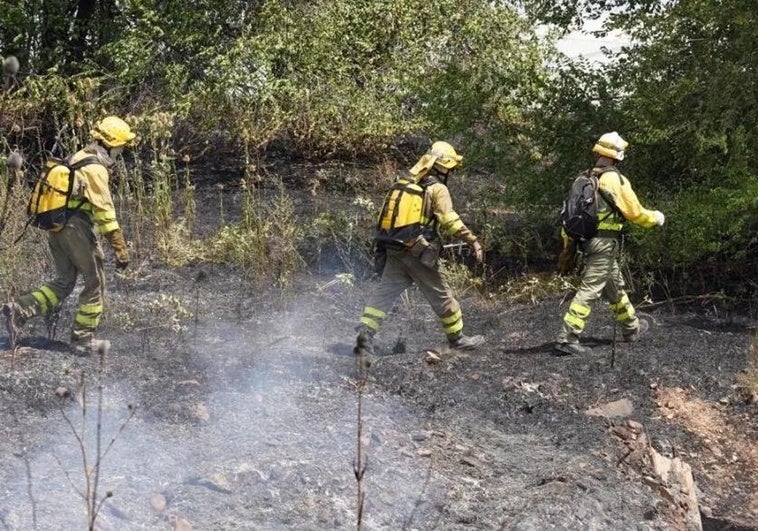 Un nuevo incendio agrícola afecta a la comarca de Valencia de Don Juan
