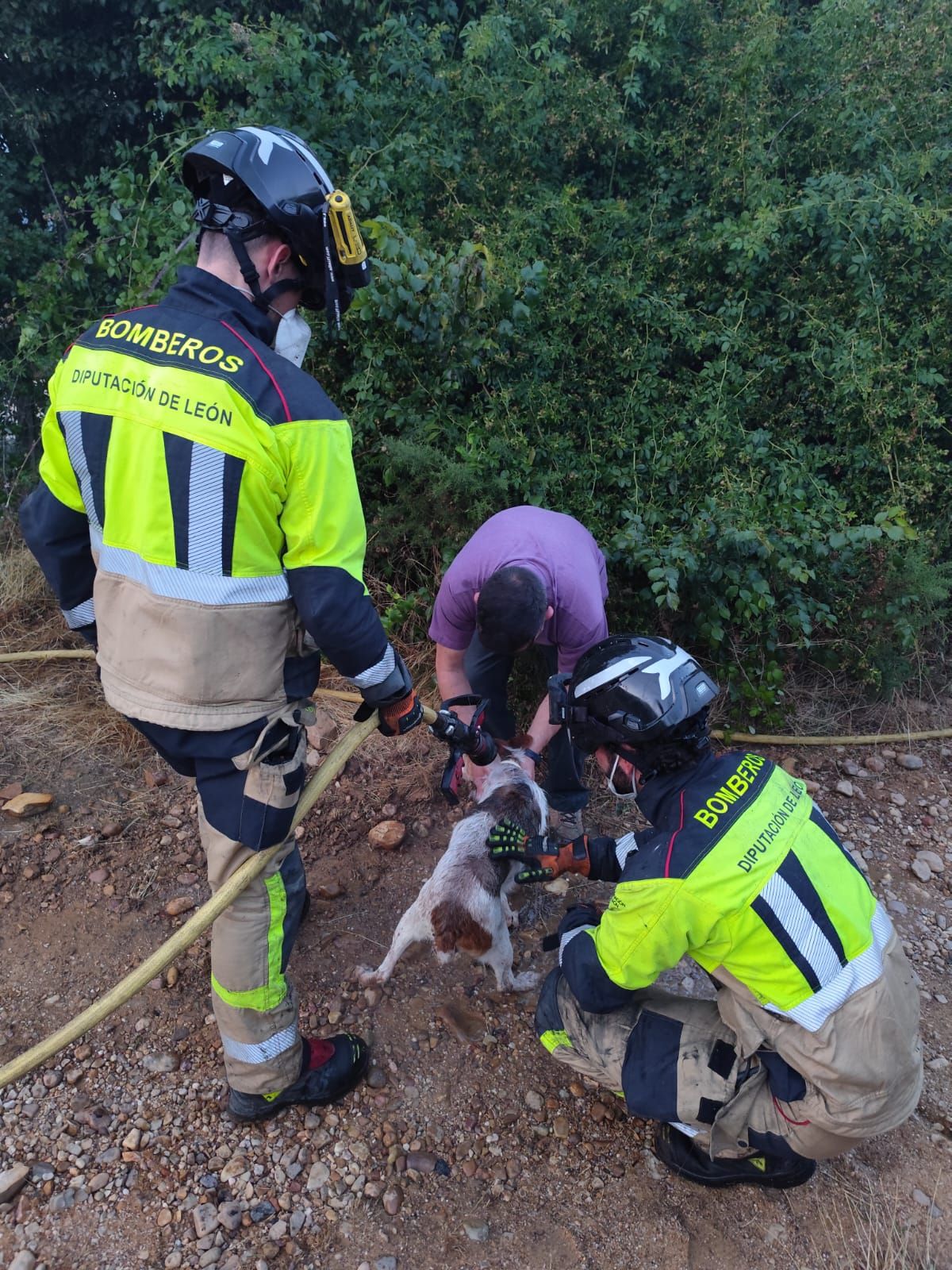 Las imágenes del incendio de Ferreras