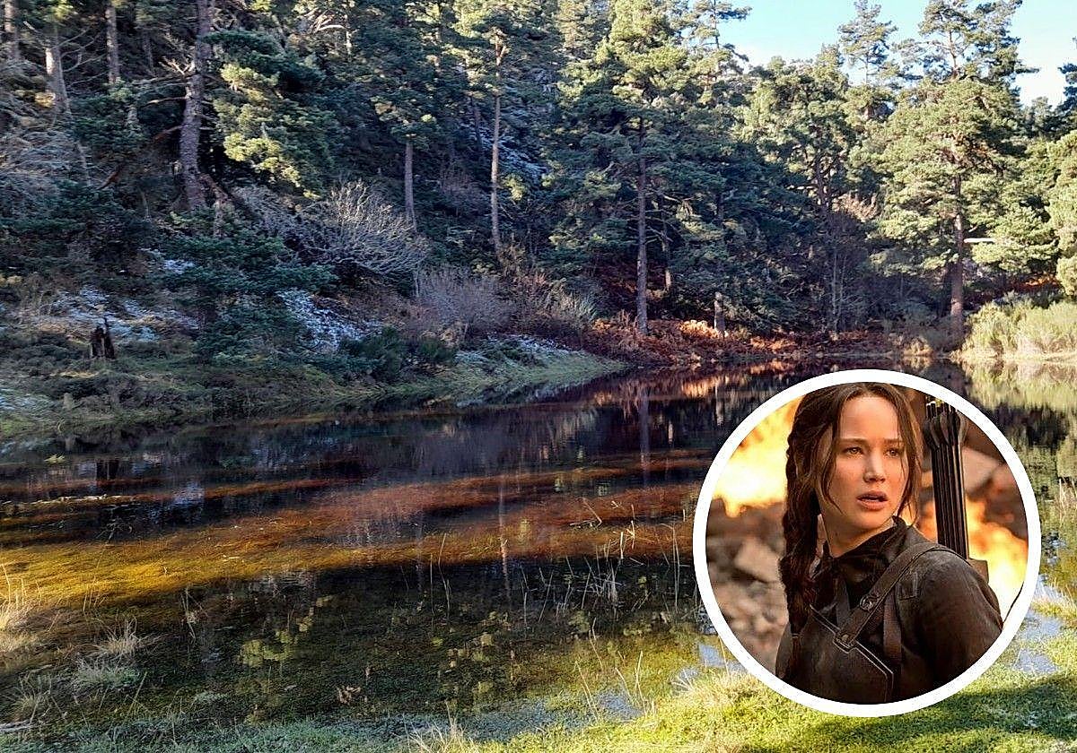 Pinar del Monte Carcedo.