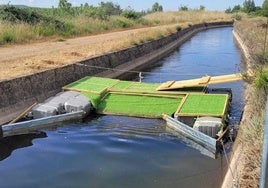 Dispositivo de paso colocado en 2024 en el canal de Arriola.